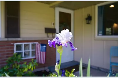 207 Brandenburg Drive, Loveland, OH 45140 - Photo 5