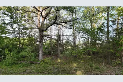 2941 Yuma Drive, Sardinia, OH 45171 - Photo 3