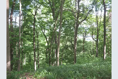 24650 US Route 52, Stout, OH 45684 - Photo 71