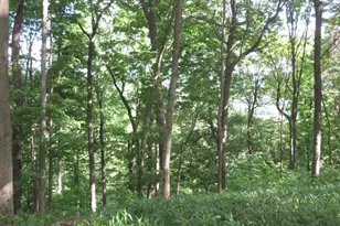 24650 US Route 52, Stout, OH 45684 - Photo 71