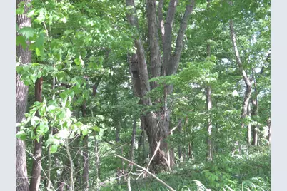 24650 US Route 52, Stout, OH 45684 - Photo 73