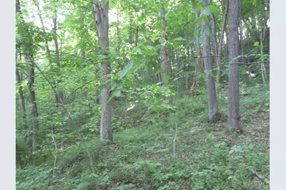 24650 US Route 52, Stout, OH 45684 - Photo 77