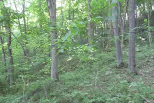 24650 US Route 52, Stout, OH 45684 - Photo 77