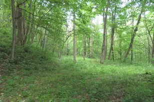 24650 US Route 52, Stout, OH 45684 - Photo 55