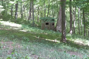24650 US Route 52, Stout, OH 45684 - Photo 65