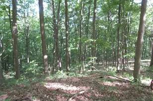 24650 US Route 52, Stout, OH 45684 - Photo 75