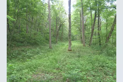 24650 US Route 52, Stout, OH 45684 - Photo 53