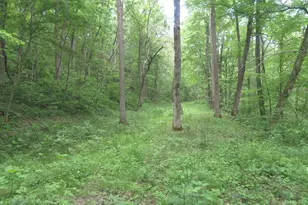 24650 US Route 52, Stout, OH 45684 - Photo 53