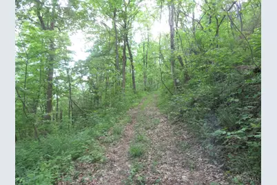 24650 US Route 52, Stout, OH 45684 - Photo 59