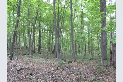 24650 US Route 52, Stout, OH 45684 - Photo 61