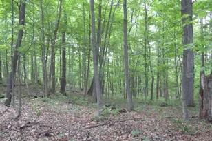 24650 US Route 52, Stout, OH 45684 - Photo 61