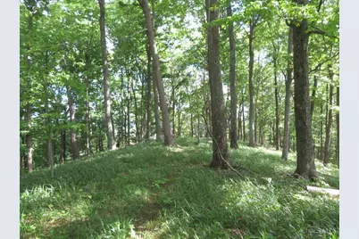 24650 US Route 52, Stout, OH 45684 - Photo 67