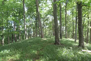 24650 US Route 52, Stout, OH 45684 - Photo 67