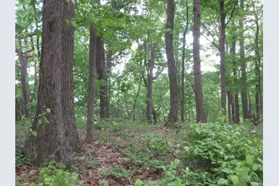 24650 US Route 52, Stout, OH 45684 - Photo 63