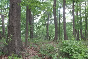 24650 US Route 52, Stout, OH 45684 - Photo 63