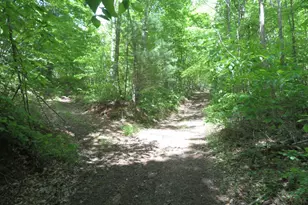 24650 US Route 52, Stout, OH 45684 - Photo 47
