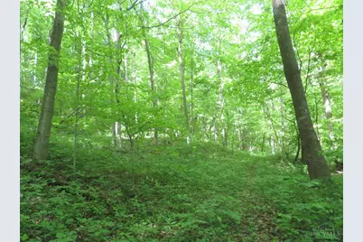 24650 US Route 52, Stout, OH 45684 - Photo 51