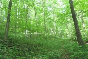 24650 US Route 52, Stout, OH 45684 - Photo 51