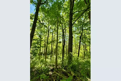 0 Kentucky Avenue, West Harrison, IN 47060 - Photo 3