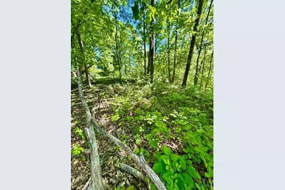 0 Kentucky Avenue, West Harrison, IN 47060 - Photo 13