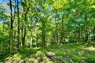 0 Kentucky Ave, West Harrison, IN 47060 - Photo 15