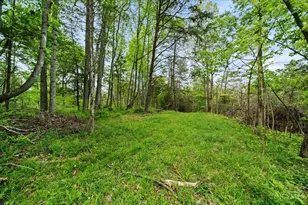 1393 Dutch Thomas Rd, Peebles, OH 45660 - Photo 45