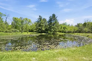 3620 Old Winchester Trail, Caesarscreek Twp, OH 45385 - Photo 47