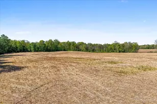 8598 W Deadfall Rd, Washington Twp, OH 45133 - Photo 27