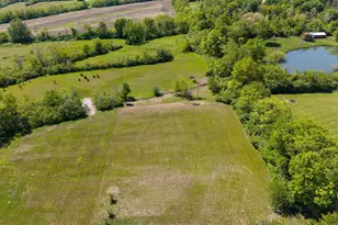 4399 Stephenson Rd, Hanover Township, OH 45056 - Photo 79