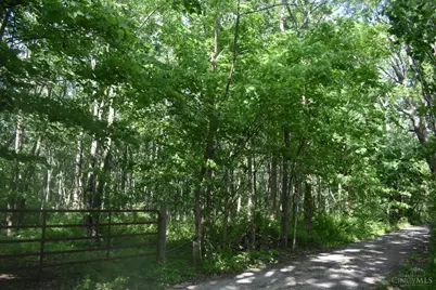 0 State Route 247, Hillsboro, OH 45133 - Photo 3