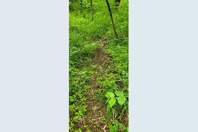 0 Buckler Rd, Monroe Township, OH 45157 - Photo 29