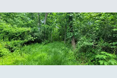 0 Buckler Rd, Monroe Township, OH 45157 - Photo 17