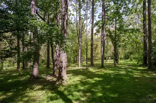 10547 E State Route 73, Waynesville, OH 45068 - Photo 21