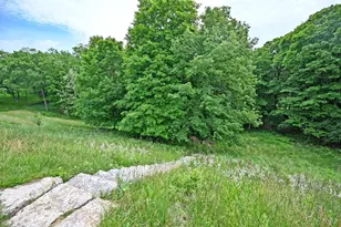 3130 Wolf Run Ct, Anderson Township, OH 45244 - Photo 79