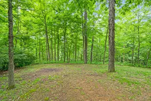 5604 Sugar Camp Rd, Miami Township, OH 45150 - Photo 55