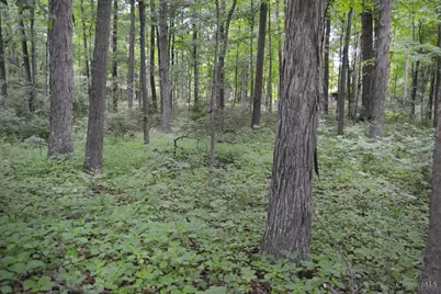6521 Morrow Rossburg Road, Morrow, OH 45152 - Photo 17