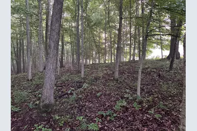 11583 Sinking Spring Road, Brushcreek Township, OH 45133 - Photo 17