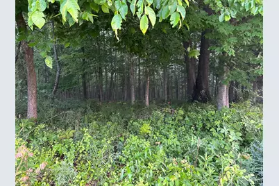 11583 Sinking Spring Road, Brushcreek Township, OH 45133 - Photo 15