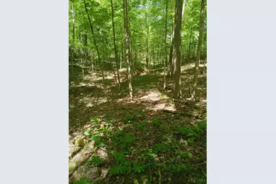 11583 Sinking Spring Road, Hillsboro, OH 45133 - Photo 1
