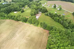 2615 St Rt 232, Tate Township, OH 45157 - Photo 71