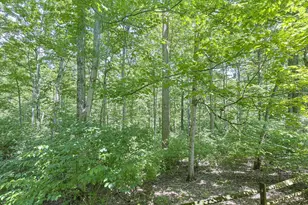 10708 Weatherstone Ct, Symmes Township, OH 45140 - Photo 59