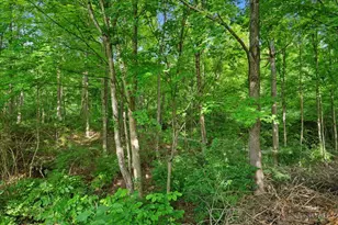 9761 Farmstead Dr, Symmes Township, OH 45140 - Photo 87