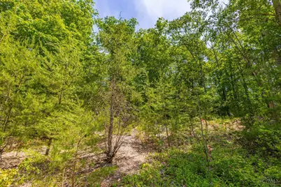 120 Thelma Lane, Blue Creek, OH 45616 - Photo 9