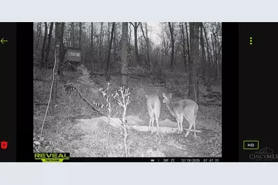 745 Coon Hollow Road, Blue Creek, OH 45616 - Photo 11