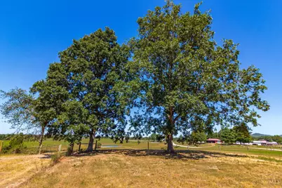 2991 Cedar Mills Road, Blue Creek, OH 45616 - Photo 23