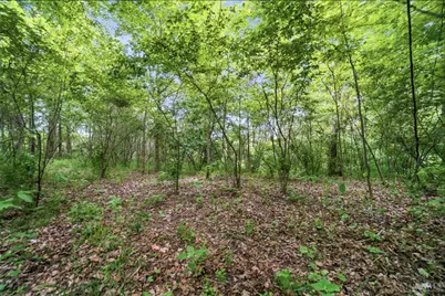 0 Wolfpen Pleasant Hill Road, Miami Township, OH 45150 - Photo 5