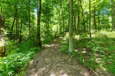 370 Wooded Run Road, Franklin Township, OH 45120 - Photo 31