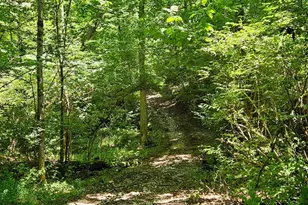 370 Wooded Run Rd, Franklin Township, OH 45120 - Photo 37