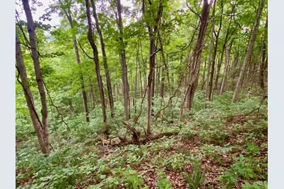 85 Pfeifer Road, Manchester, OH 45144 - Photo 9