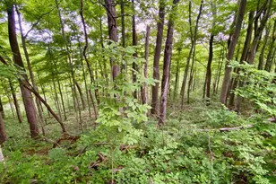 85 Pfeifer Rd, Manchester, OH 45144 - Photo 1
